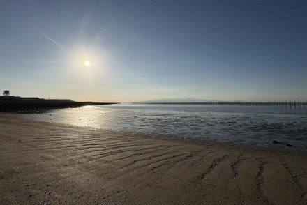 2年目を過ごして感じたこと